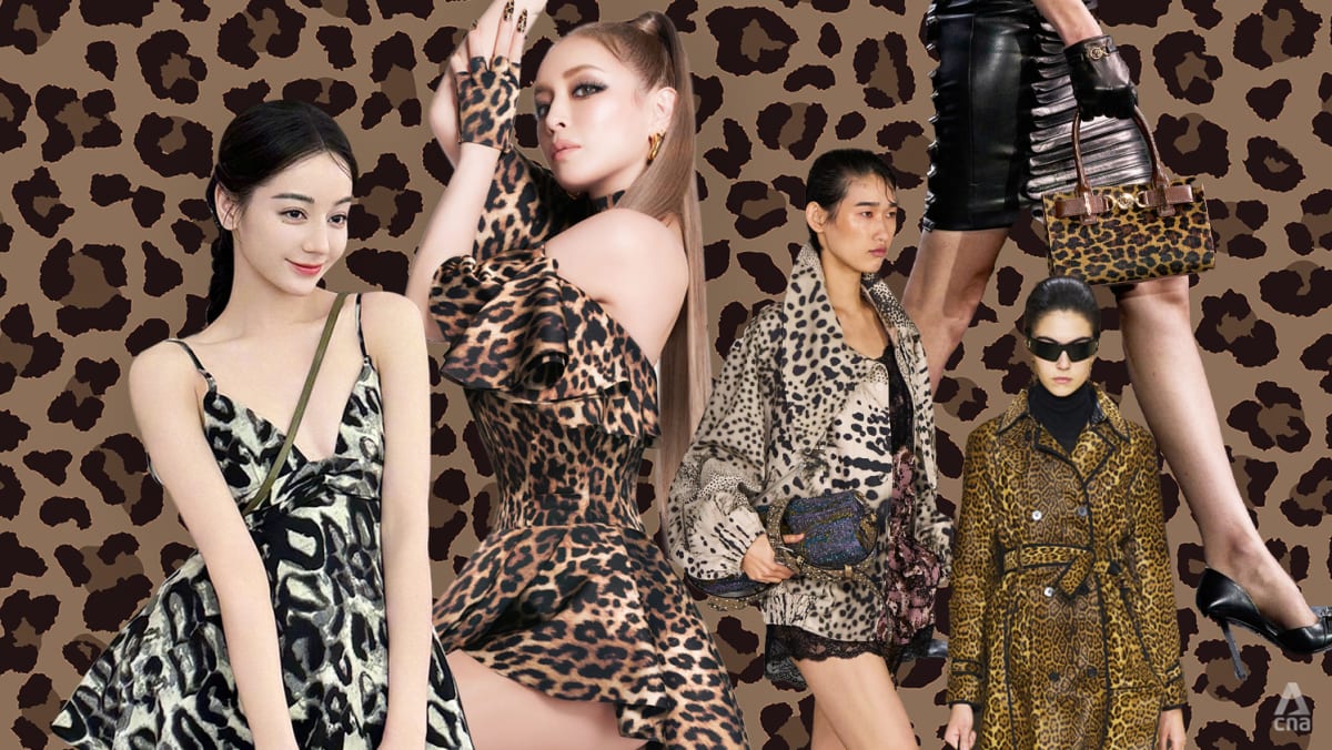 Why-does-the-leopard-print