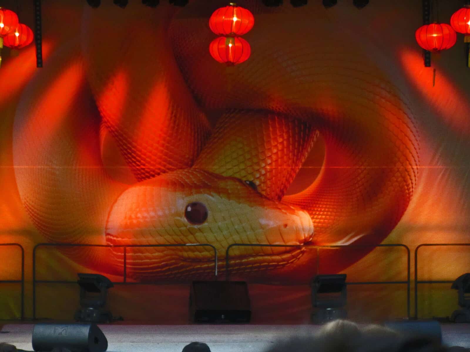 Year-of-the-Snake-Lunar
