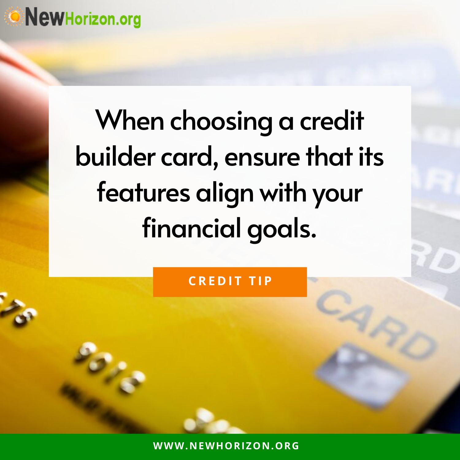 choosing the right credit builder card