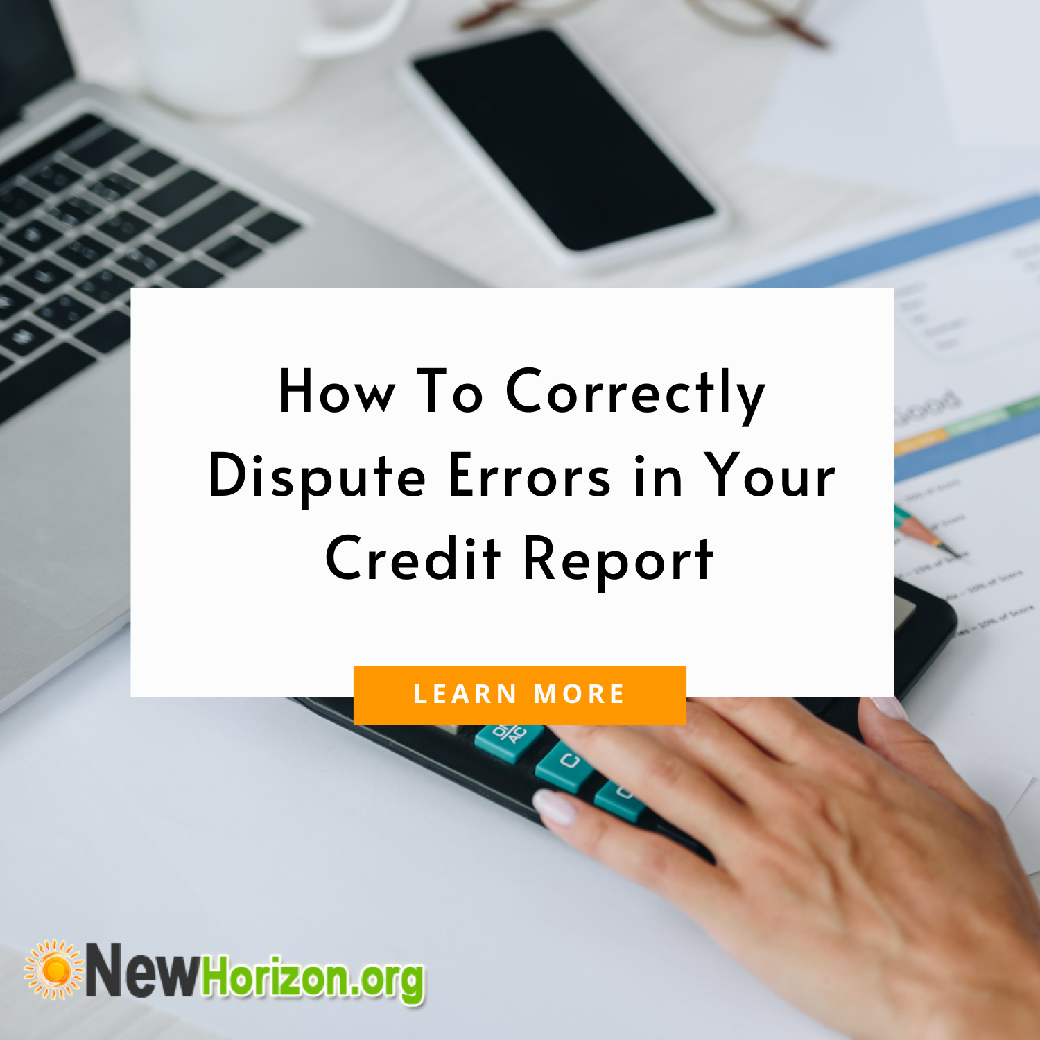 how to correctly dispute errors