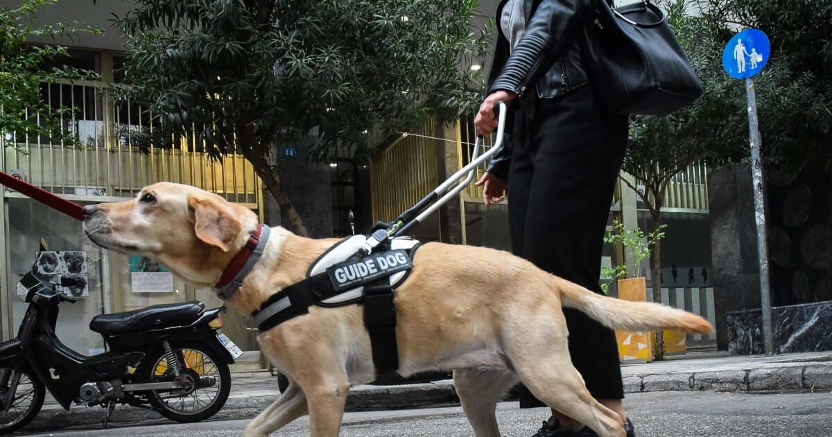 Οδηγός αρνήθηκε να επιβιβάσει στο ταξί τυφλή παραολυμπιονίκη με τον σκύλο – συνοδό της: «Εδώ κάνω εγώ κουμάντο»