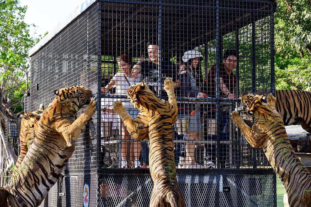 bangkok safari world and marine park