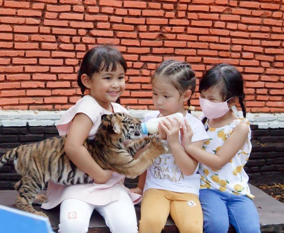 bangkok safari world