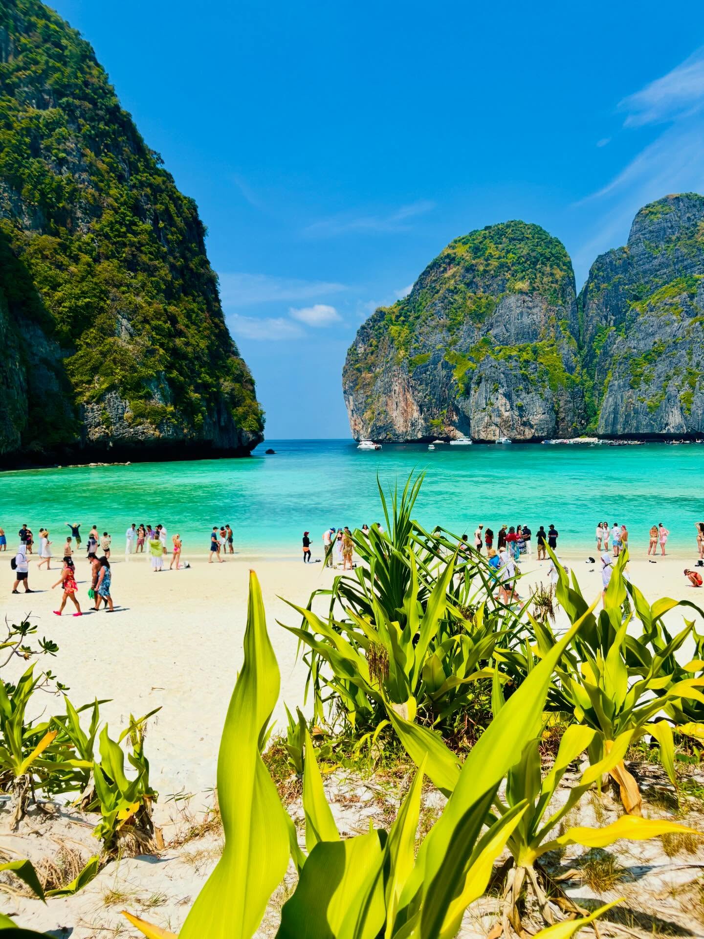 Phi Phi Island Maya Bay