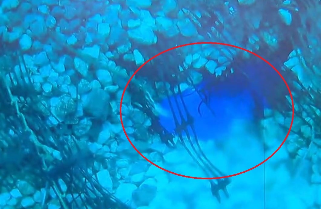 Μονάδα υποβρυχίων αποστολών διερευνά τη δολιοφθορά στην Αίγινα 