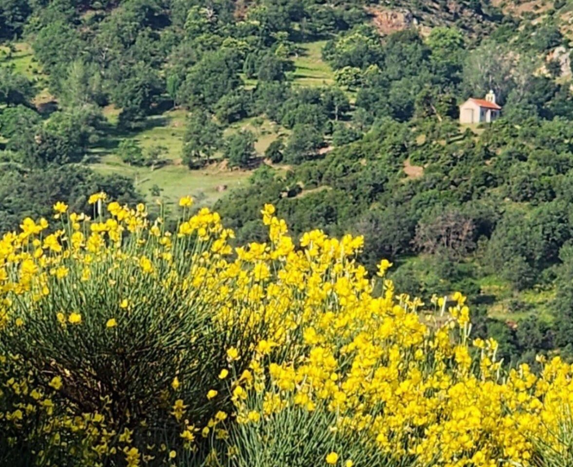 cheretismata-apo-ta-vouna-tis Χαιρετίσματα από τα βουνά της Αχαΐας στέλνει στην Αυστραλία ο Μπάμπης Σταυρόπουλος