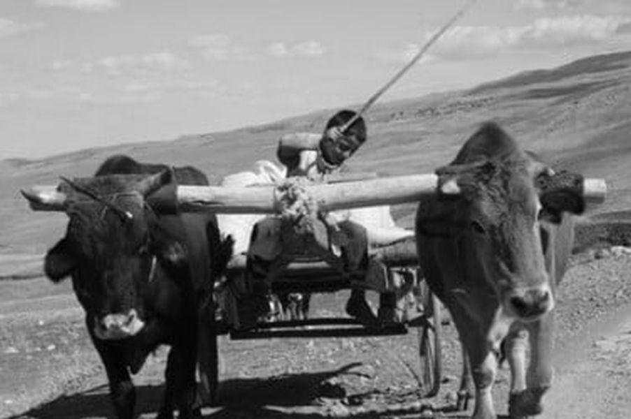 entil-ekouz-me-ntaoulia-ke…