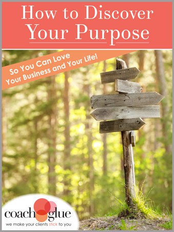 discover your purpose