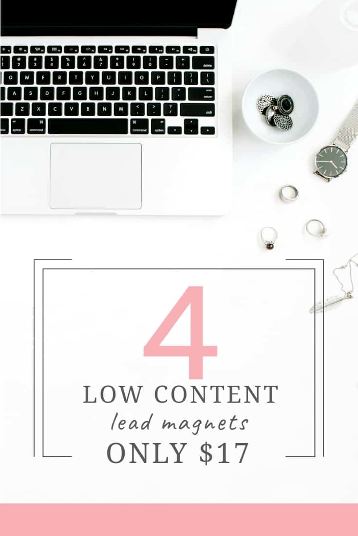 plr of the month lead magnets
