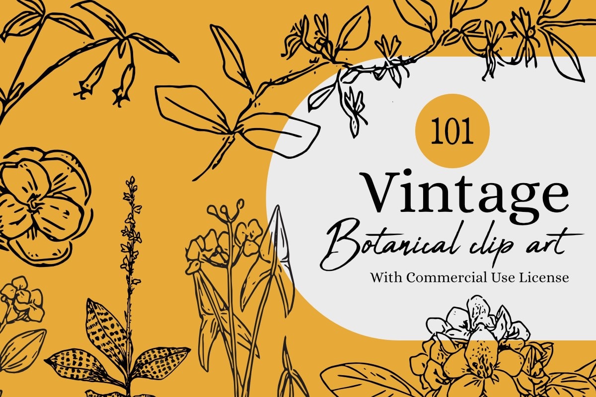 Vintage-botanical-clip-art-banner