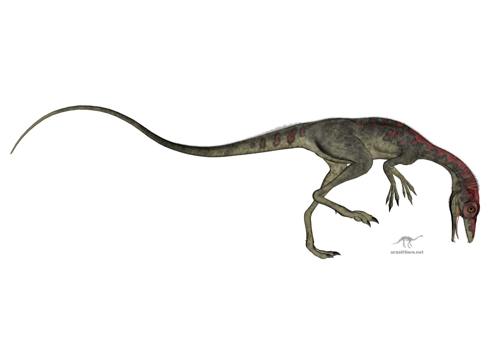 Compsognathus