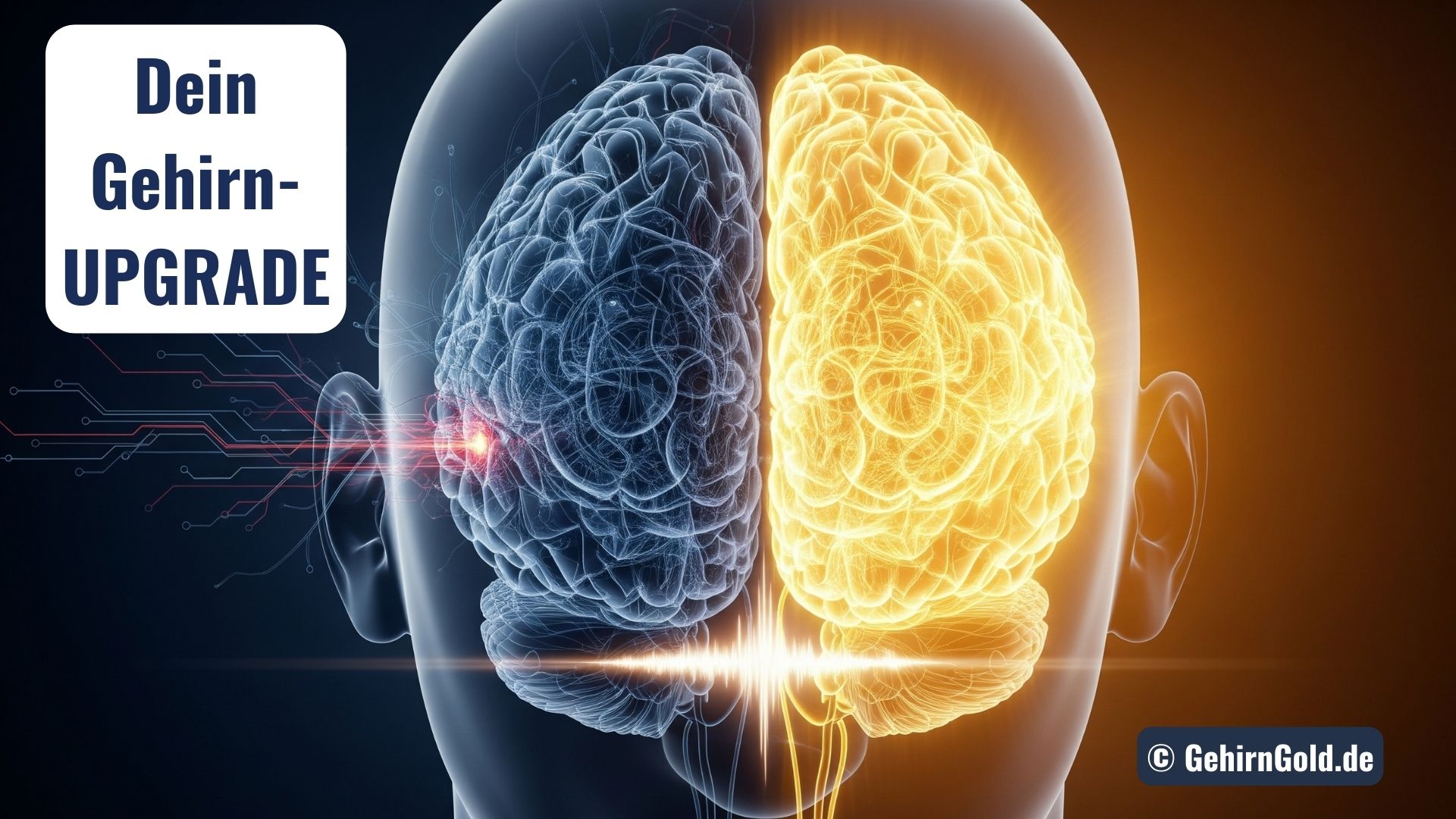 Die Energie-Flatrate: Warum dein Gehirn ein Upgrade verdient (und wie du Lebenszeit gewinnst)