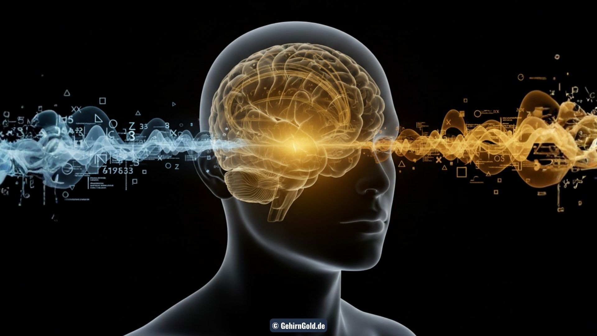 Deine Kopfhörer haben eine Geheimfunktion: Wie getrennte Botschaften für jedes Ohr dein Gehirn austricksen