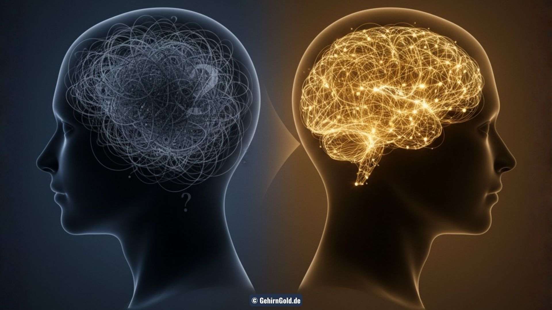 Visuelle Darstellung der Gehirnwellen und neuronalen Verbindungen als Symbol für die Wissenschaft hinter PowerNaps.