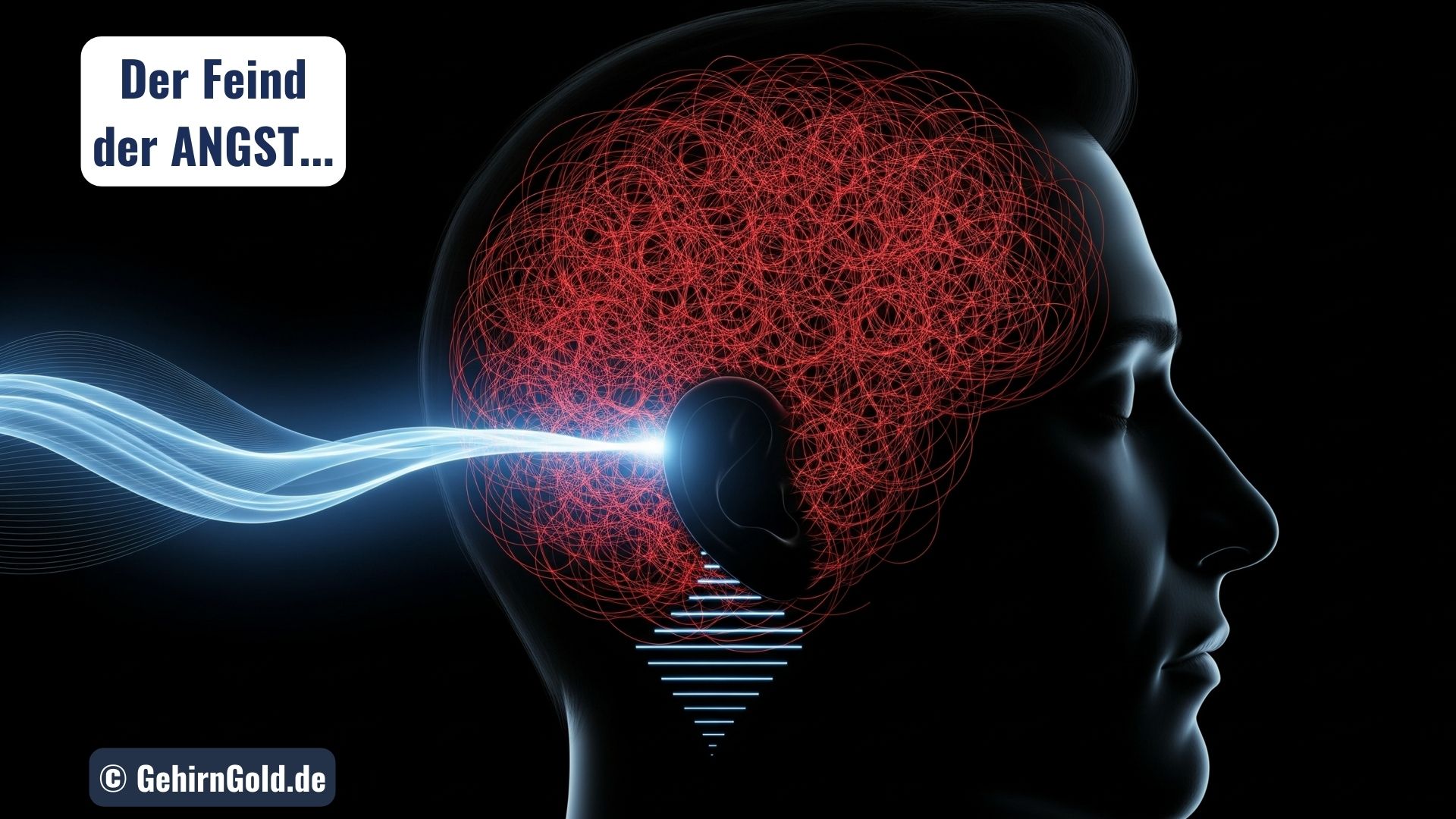 PowerNap bei Angst: Warum dieser 20-Minuten-Impuls dein Nervensystem sofort beruhigt