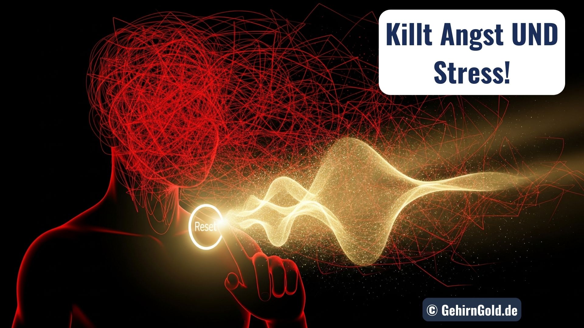 PowerNap bei Angst und Stress: Dein 1-Euro-Gamechanger für echten Reset