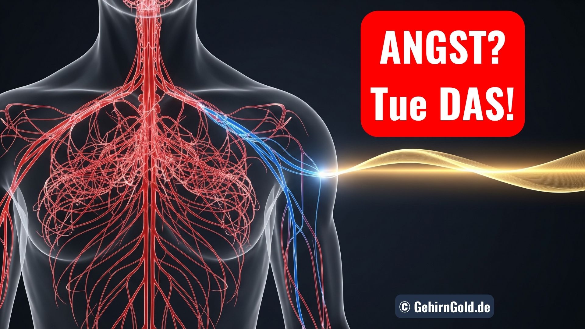 PowerNap gegen Angst: Wie du in 20 Minuten dein Nervensystem beruhigst