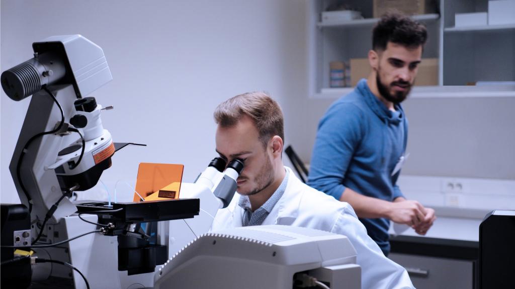 DETECTION OF GFP PROTEIN IN BACTERIA UNDER FLUORESCENCE MICROSCOPE