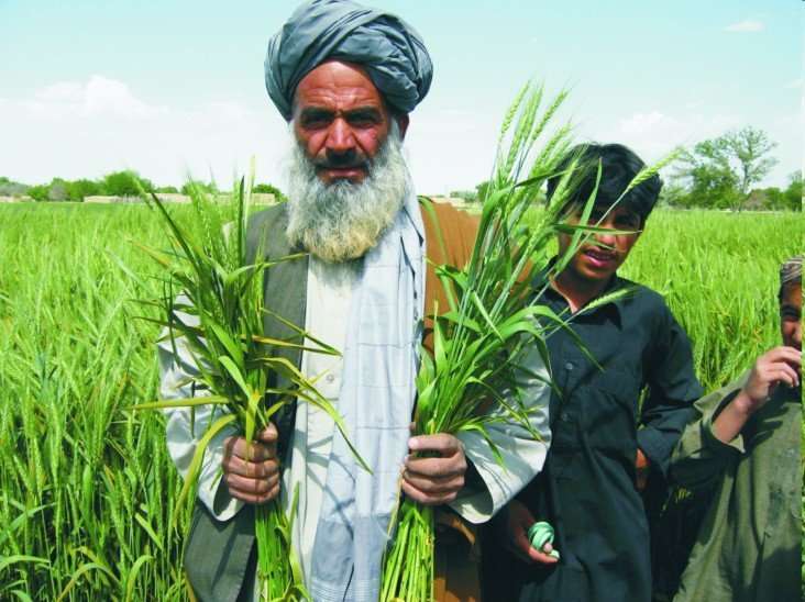 Balochistan Agriculture