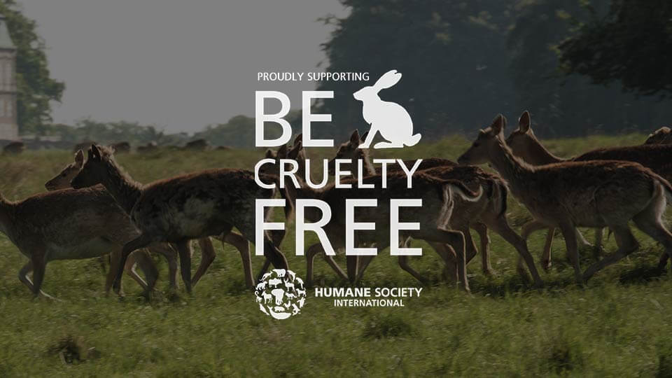 About Natulique - Initiatives