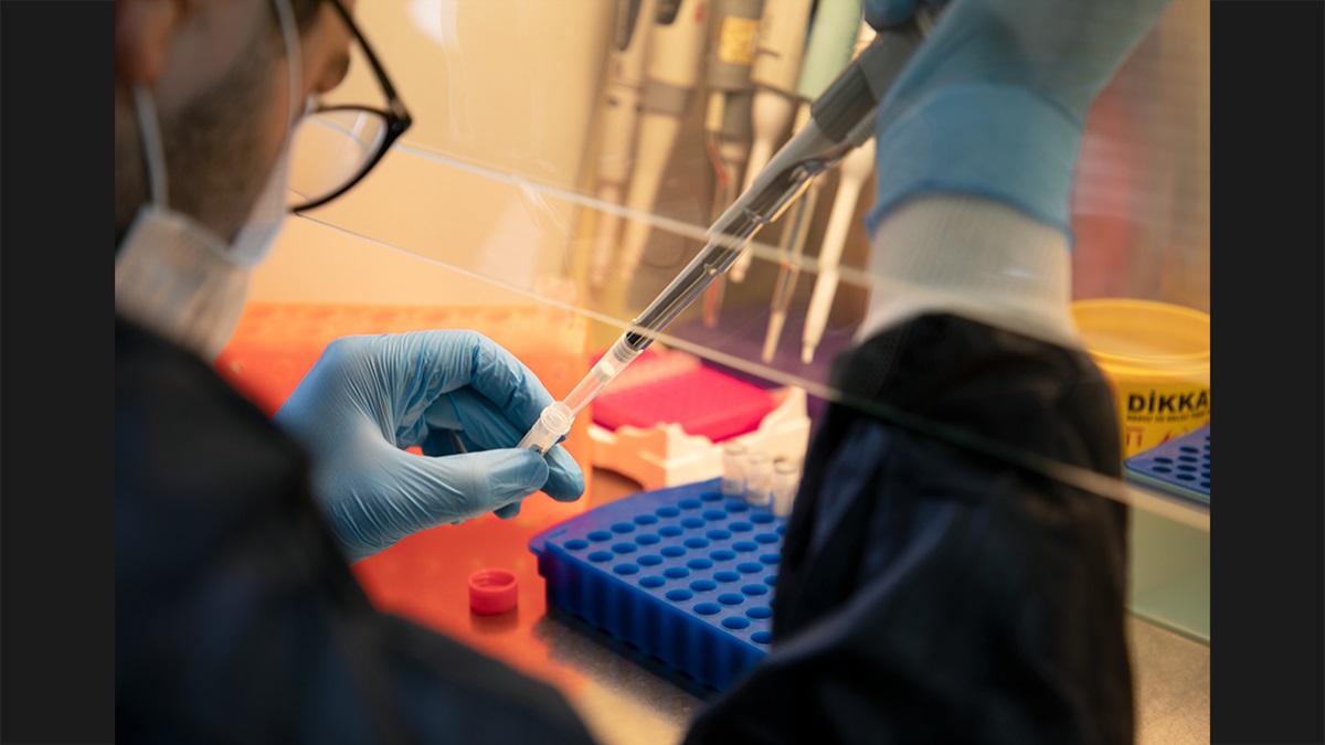 ANALYSIS OF GENETIC MARKERS IN BACTERIA