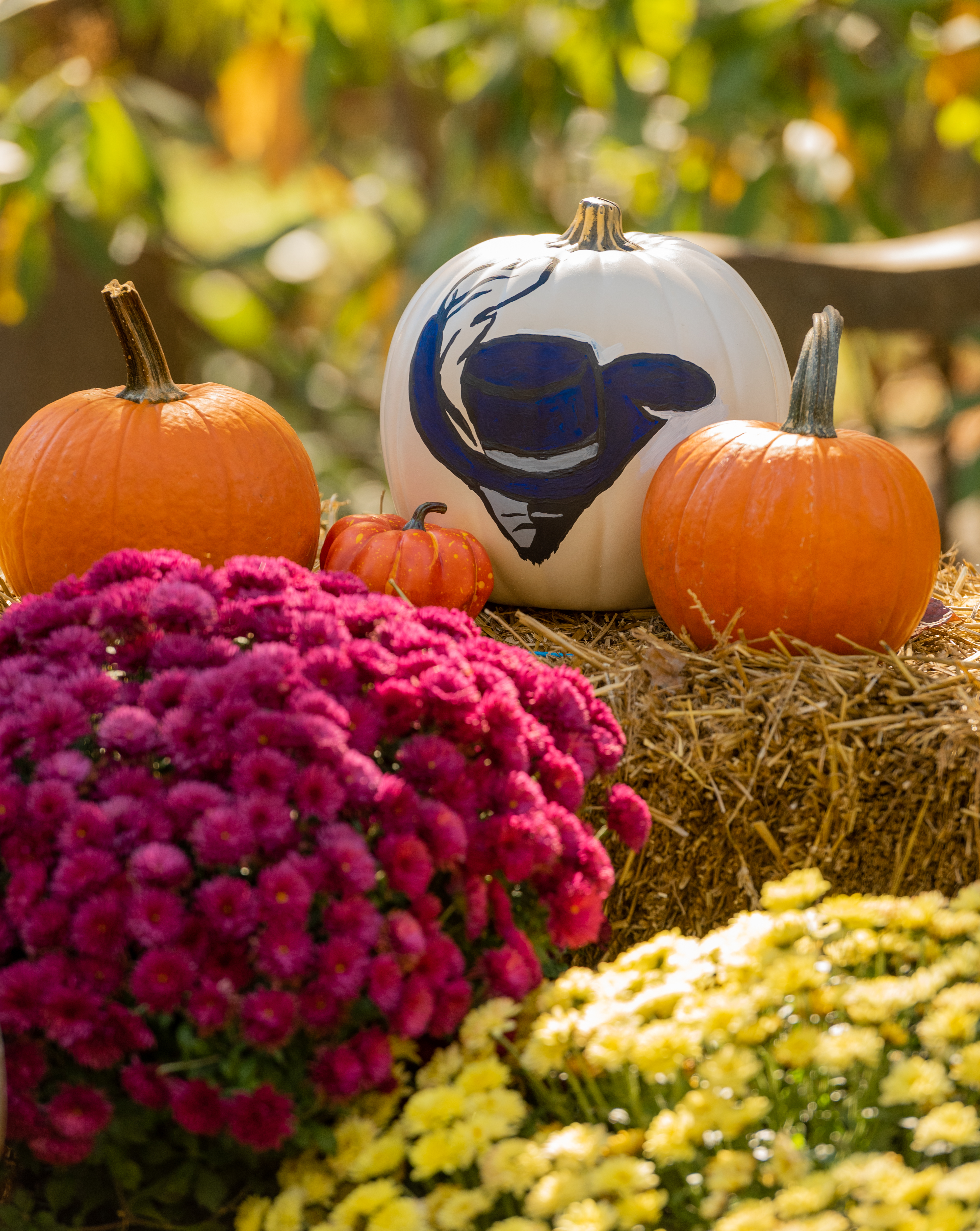 Shows a white pumpkin with the Cabrini cavalier logo painted on it. 