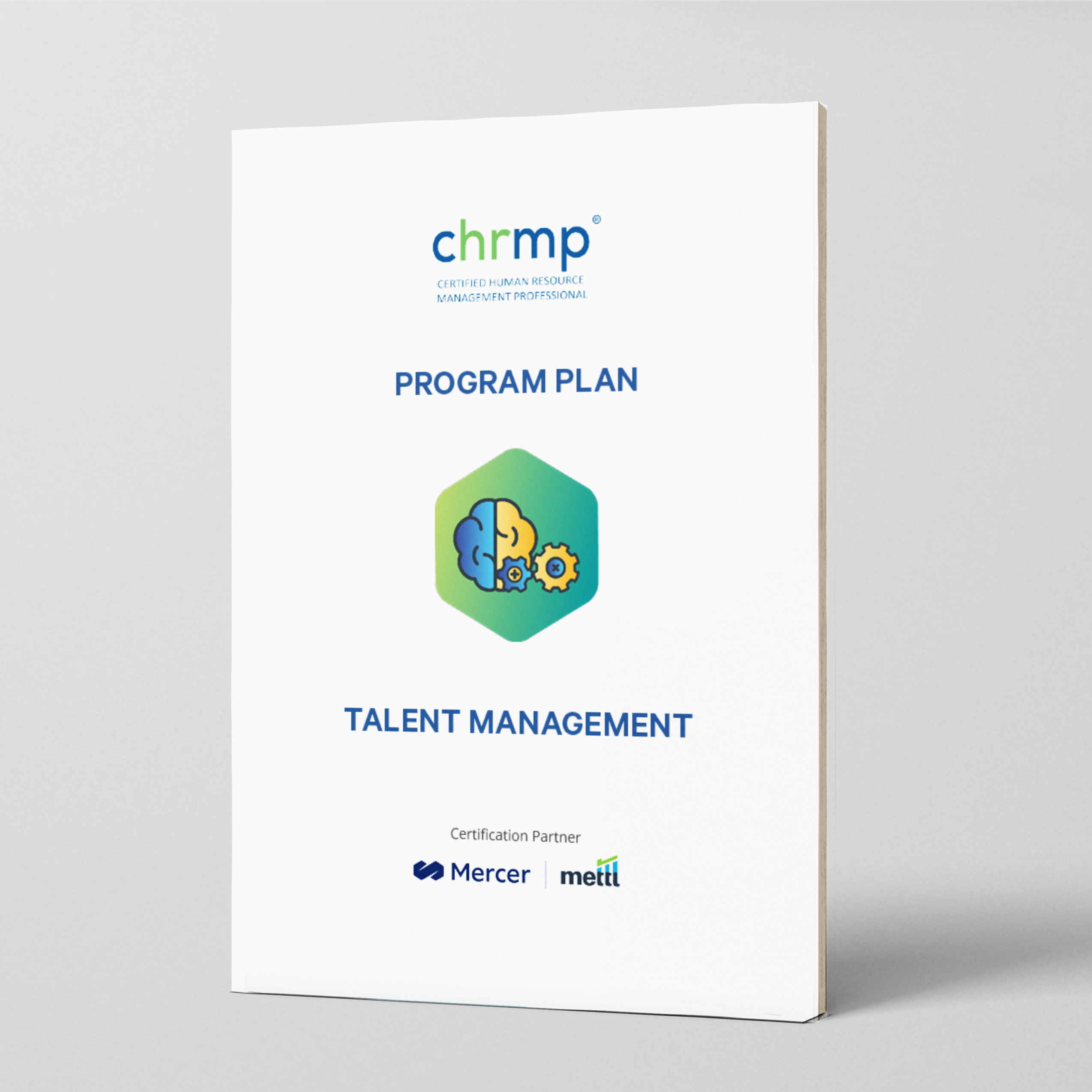 Talent Management Mockup
