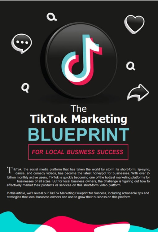Article 3, The Tiktok Marketing Blueprint - For Local Business Success.