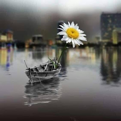 Αν περιμένεις εδώ την ανταμοιβή σου, θα ταλαιπωρηθείς ματαίως !