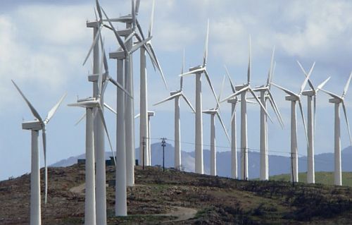 anemogennitries Ανεμογεννήτριες Siemens στο καμένο δάσος της Δαδιάς από την κυβέρνηση Μητσοτάκη