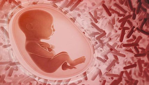 emvria-6-minon-viosima-ke Έμβρυα 6 μηνών «βιώσιμα και χωρίς συγγενείς ανωμαλίες» πωλήθηκαν από κλινική στο πανεπιστήμιο Σαν Ντιέγκο της Καλιφόρνιας