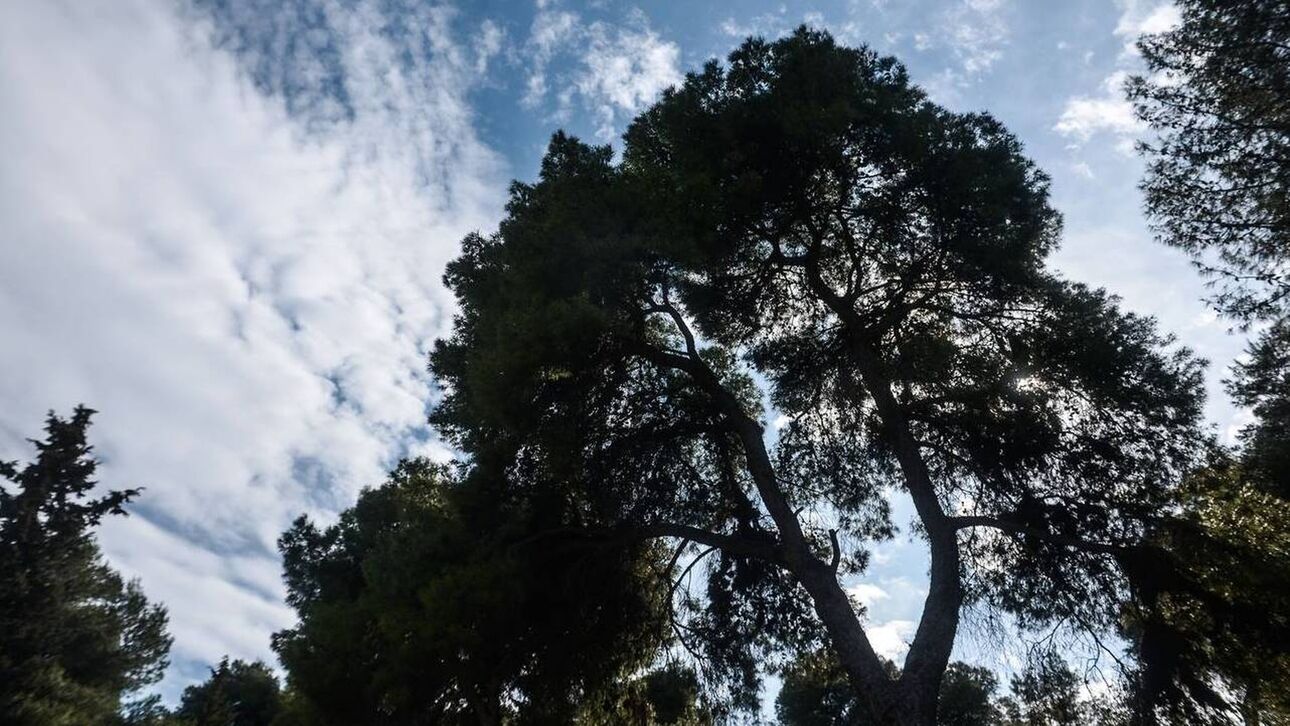 emy1 ΕΜΥ Καιρός: Η πρόγνωση για σήμερα Παρασκευή 11 Νοεμβρίου- Άγιος Μηνάς γιορτή