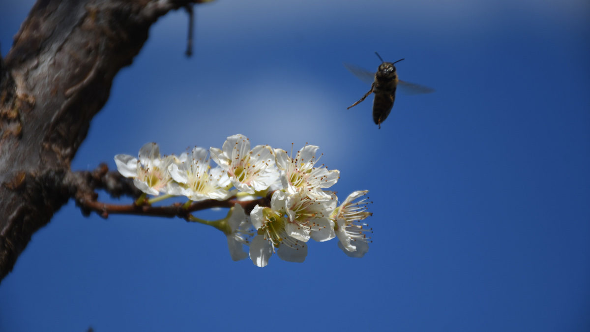 emy3 ΕΜΥ Καιρός: Η πρόγνωση για σήμερα Τετάρτη 26 Οκτωβρίου- Άγιος Δημήτριος γιορτή