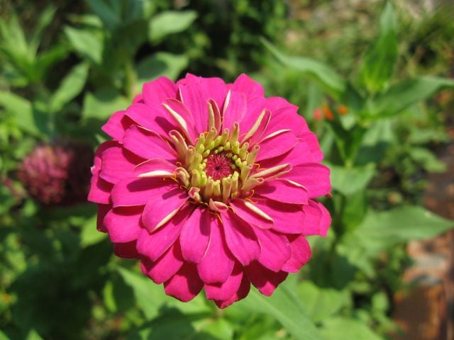 eortologio-pii-giortazoun-simera-15 Εορτολόγιο ποιοι γιορτάζουν σήμερα 15 Ιουλίου: Άγιοι Κήρυκος και Ιουλίττα