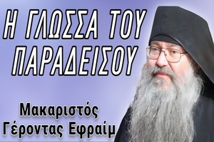 gerontas-efrem-skitis-Αgiou-Αndrea