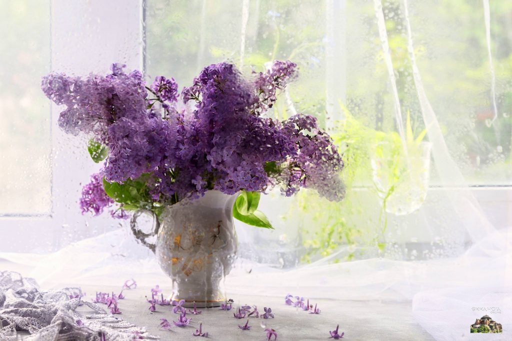 giorti-simera-eortologio-poioi-giortazoun-1024x683-2 Εορτολόγιο: Ποιοι γιορτάζουν σήμερα 27 Απριλίου – Άγιος Συμεών