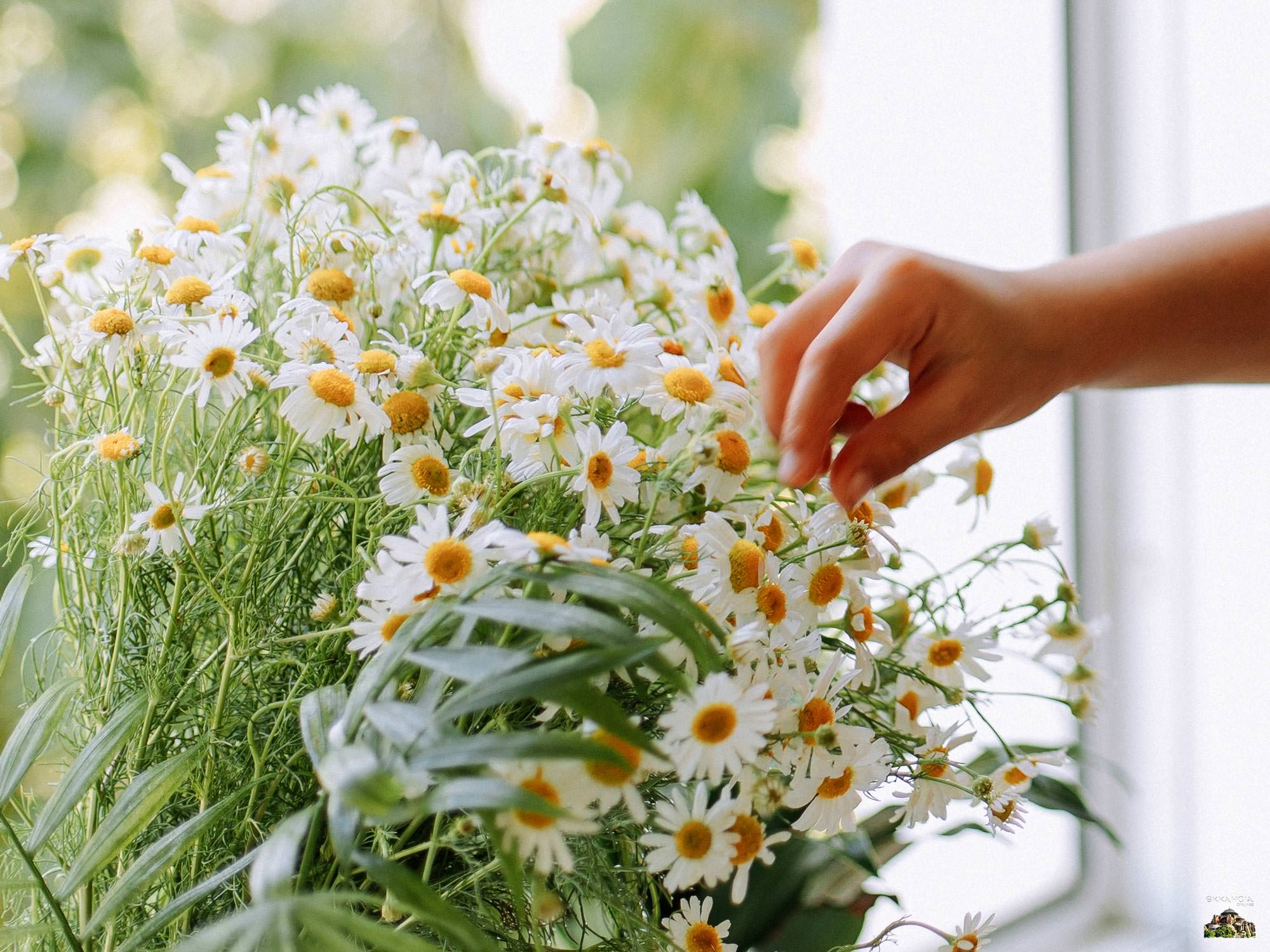 giorti-simera-eortologio-poioi-giortazoun