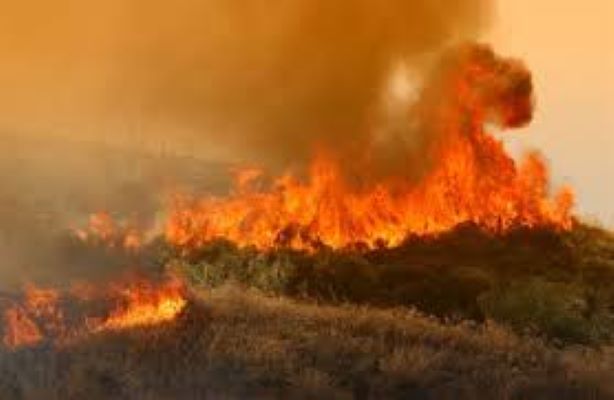 Οι καταστρεπτικές συνέπειες της πολιτικής λιτότητας της Ε.Ε. στην πυρόσβεση