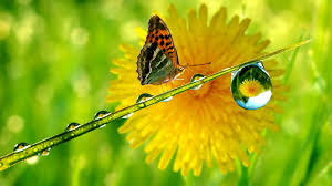 Άνθρωπος που έχει προαίρεση να σωθή, το έλεος του Θεού θα τον κυνηγήση