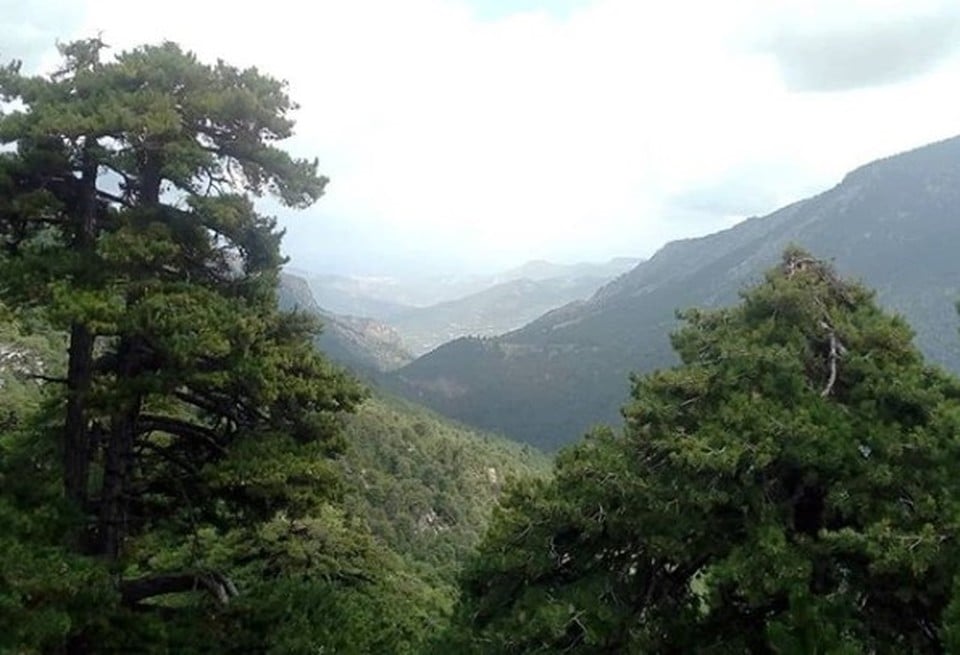 katastrofi-me-anemogennitries-ke-sta Καταστροφή με ανεμογεννήτριες και στα Άνω Ζήρια Αχαΐας