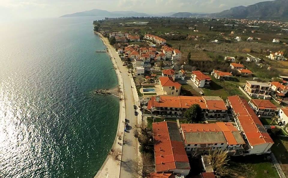 kikloforithike-to-evdomadieo-enimerotiko-deltio Κυκλοφορήθηκε το Εβδομαδιαίο Ενημερωτικό Δελτίο της Ι. Μ. Δημητριάδος «Εισοδικόν» τευχ. 663