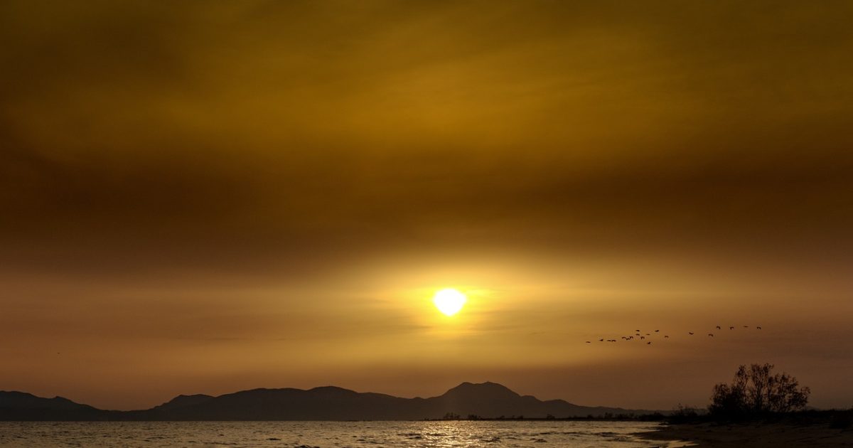 Μην ξεχνάμε το βράδυ τους μοναχικούς ανθρώπους (Βίντεο)