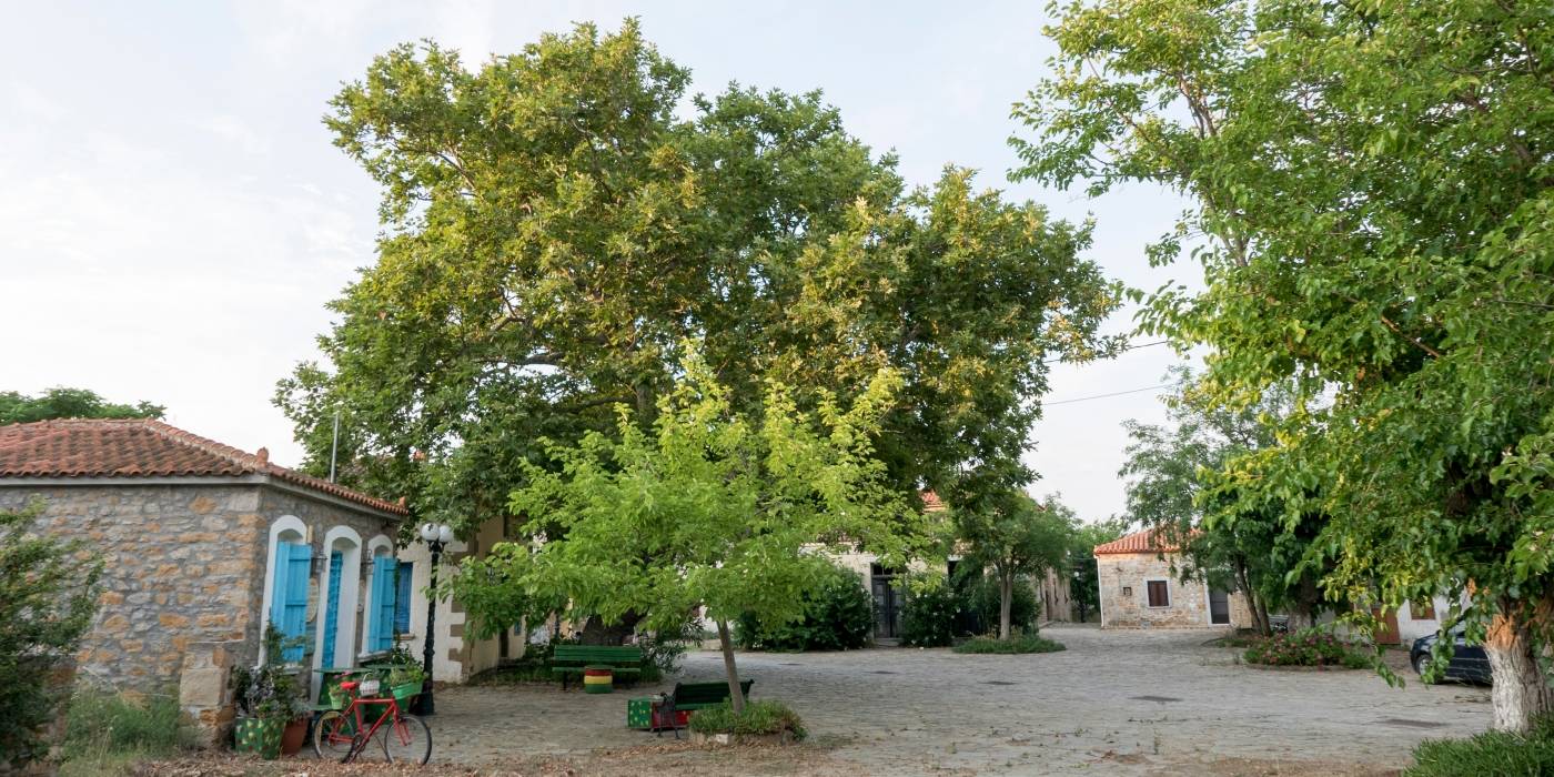 panigiris-i.n.-Αg.-ioanni-prodromou Πανήγυρις Ι.Ν. Αγ. Ιωάννη Προδρόμου Παλαιού Πεδινού Λήμνου