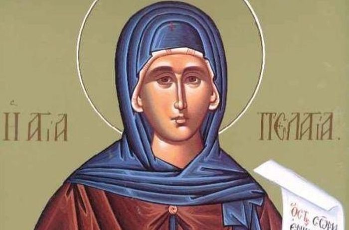 pelagia