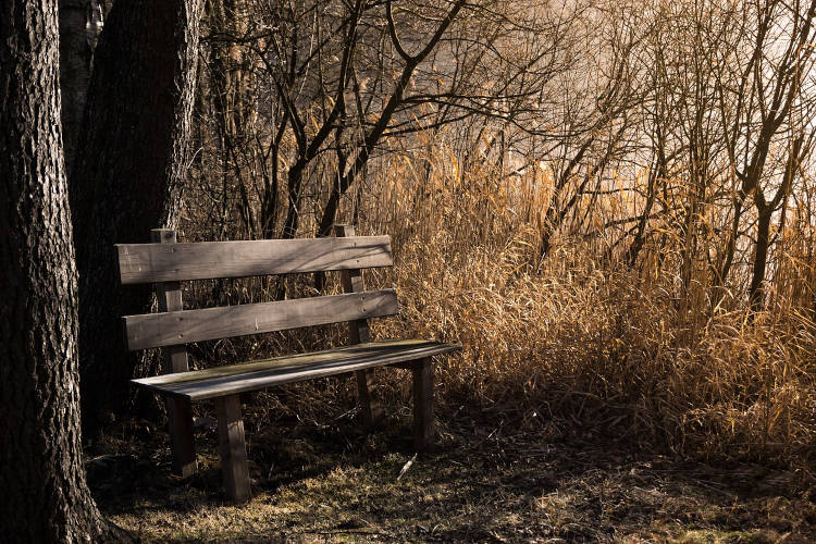 pios-ine-o-alithina-logikos Ποιος είναι ο αληθινά λογικός άνθρωπος;