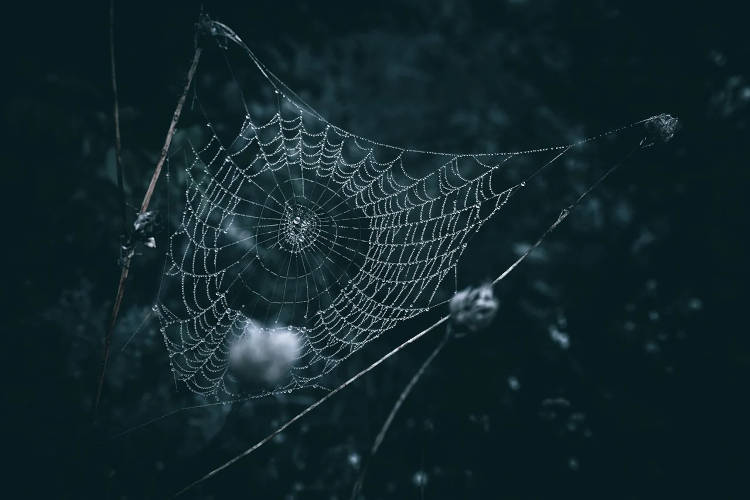 pos-metadidoume-tin-kakia-mas Πως μεταδίδουμε την κακία μας;