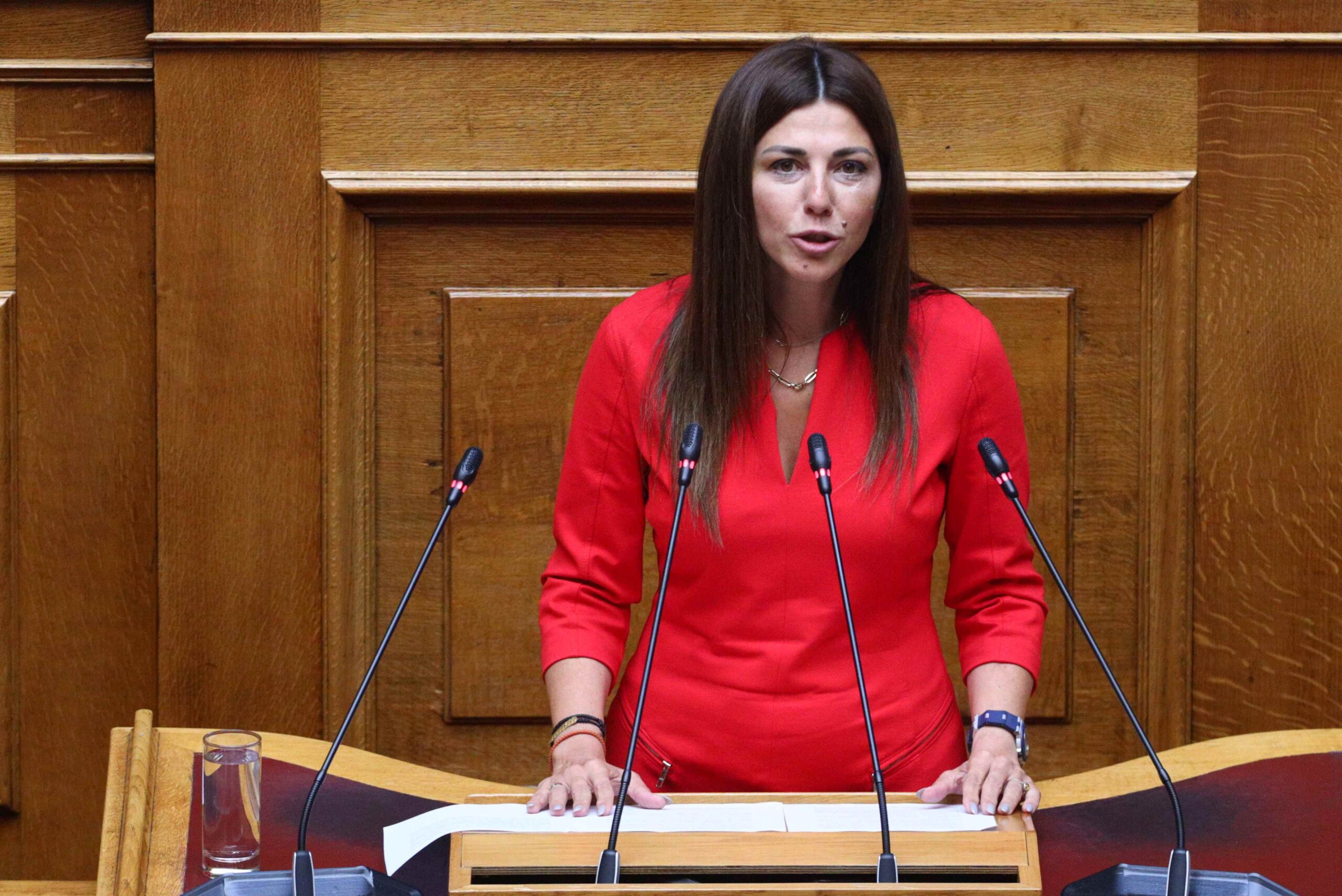 Σ. Ζαχαράκη: Θα τηρήσουμε την υπόσχεση που δώσαμε στην Σιναϊτική Αδελφότητα και τον Αρχιεπίσκοπο Δαμιανό