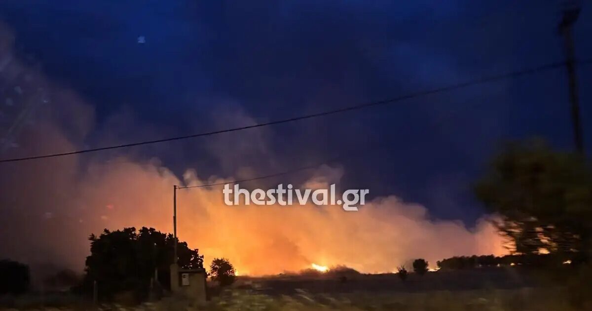 tris-esties-fotias-sti-thessaloniki Τρεις εστίες φωτιάς στη Θεσσαλονίκη σε Δρυμό, Νέο Ρύσιο και Λακκιά – Εικόνες από τα σημεία της πυρκαγιάς