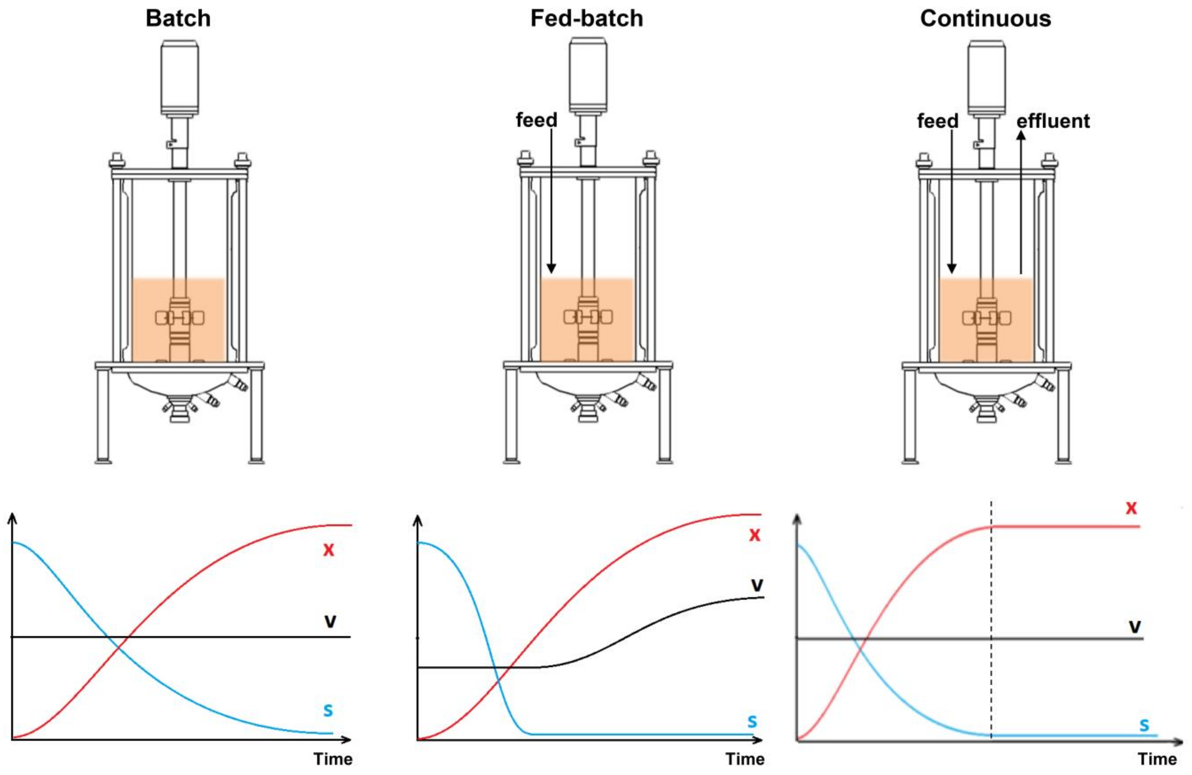 LARGE SCALE PRODUCTION OF PROTEINS FROM RECOMBINANT MICROORGANISMS