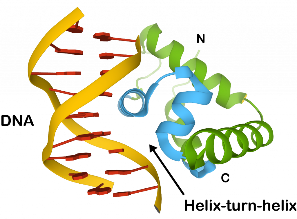 STRUCTURAL GENOMICS AND PROTEOMICS